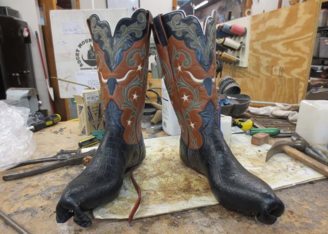Longhorn boots