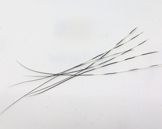 2018-02-07 13.26.45.jpg